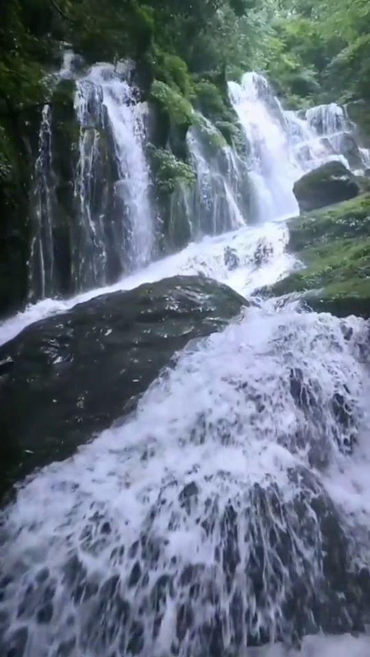 逃出猫头鹰屋