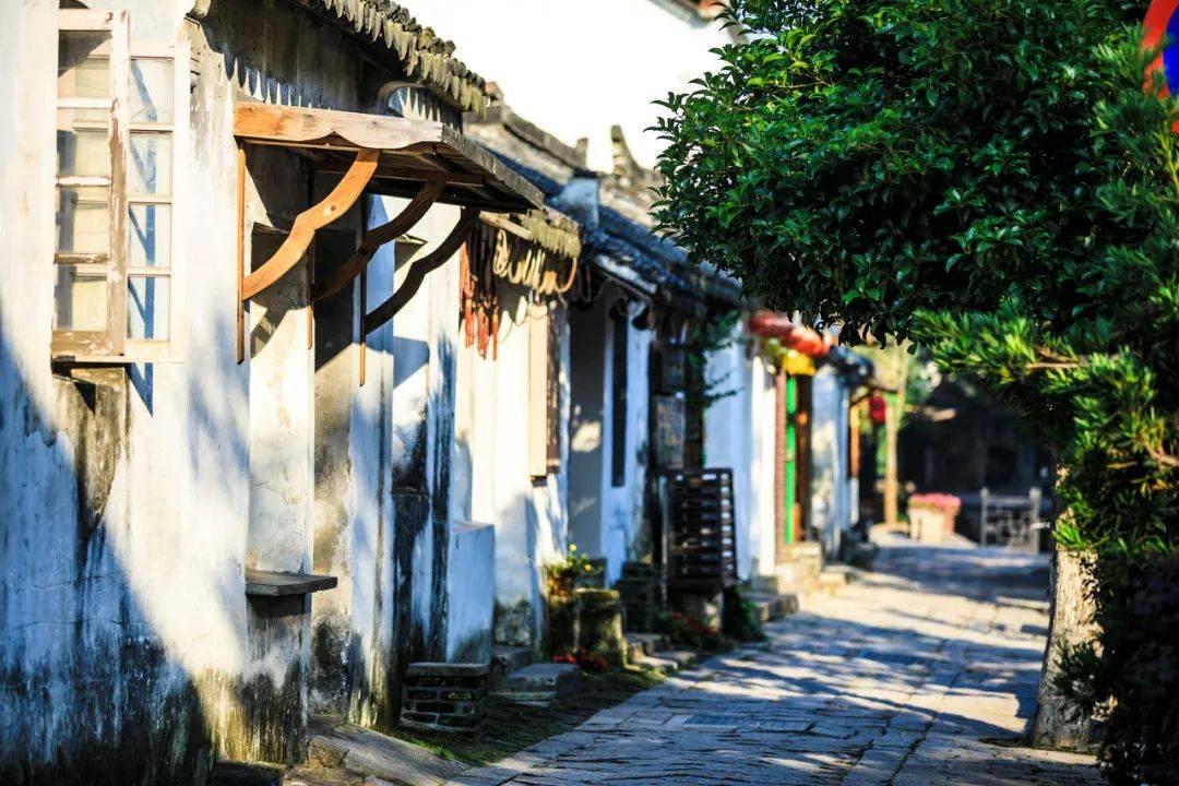 小鹏真智驾 全国都好用 新春智驾征集活动正式启动